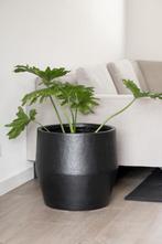 Grote zwarte pot, Tuin en Terras, Bloempotten, Ophalen, Steen, 40 cm of meer, Rond