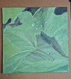 Schilderij: Druppels op Blad - 40x40 cm, Ophalen