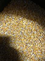 Karperaas harde mais 18 kg, Watersport en Boten, Hengelsport | Karpervissen, Ophalen, Zo goed als nieuw, Overige typen