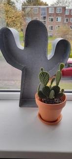 Grote cactus vorm van zink, stoere vensterbank decoratie, Ophalen of Verzenden, Zo goed als nieuw