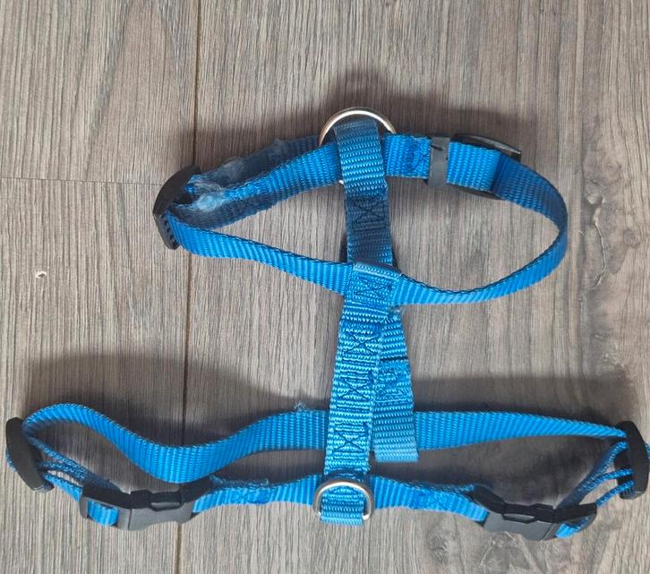 Konijnentuigje Beeztees welkoop, Dieren en Toebehoren, Knaagdieren en Konijnen | Toebehoren, Gebruikt, Overige typen, Ophalen of Verzenden