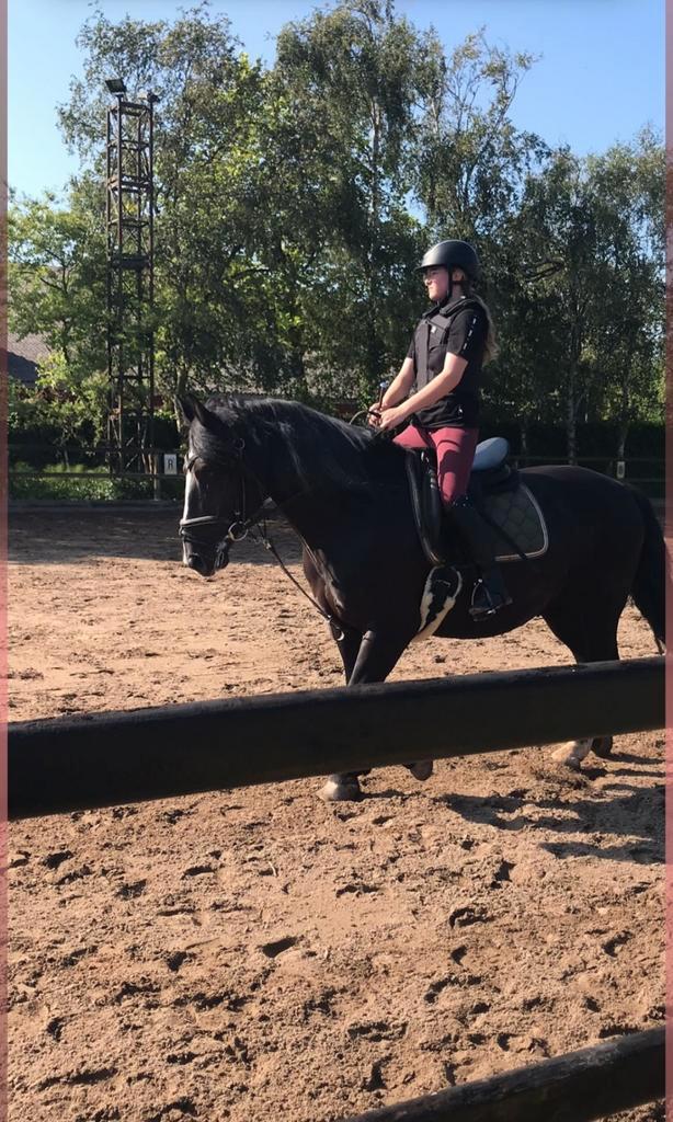 Bijrijd  pony/paard gezocht, Dieren en Toebehoren, Paarden en Pony's | Verzorgingsproducten, Ophalen of Verzenden