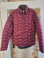 Winterjas Heren: My Brand, Kleding | Heren, Jassen | Winter, Ophalen, Overige kleuren, Maat 56/58 (XL), Zo goed als nieuw