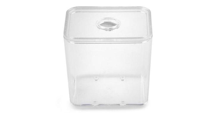 ARENA BUDGET | MIEREN KOLONIE HOUDEN TERRARIUM INSECTEN, Dieren en Toebehoren, Insecten en Spinnen, Overige soorten