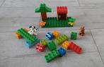 Duplo Huisdieren Set., Ophalen of Verzenden, Zo goed als nieuw, Duplo