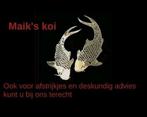 Afstrijkje en advies aan huis voor u koi / vis, Ophalen of Verzenden, Zo goed als nieuw