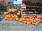POMPOENEN HALLOWEEN, EET EN SIER, HONING, Tuin en Terras, Ophalen, Zo goed als nieuw