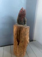 Leguaan op hout 37 cm, Ophalen of Verzenden, Dier