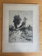 Martin van Waning Ets “ berkenlaantje”, Antiek en Kunst, Kunst | Etsen en Gravures, Ophalen of Verzenden