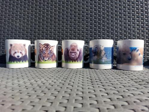 Mokken Diergaarde Blijdorp (5 stuks), Huis en Inrichting, Keuken | Servies, Gebruikt, Kop(pen) en/of Schotel(s), Overige stijlen