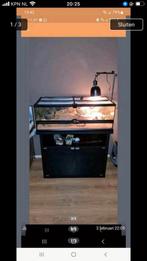 Te koop terrium met kast, Ophalen, Gebruikt, Overige typen