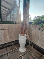 Witte sierpot met pampasgras, Rond, Tuin, Zo goed als nieuw, Aardewerk