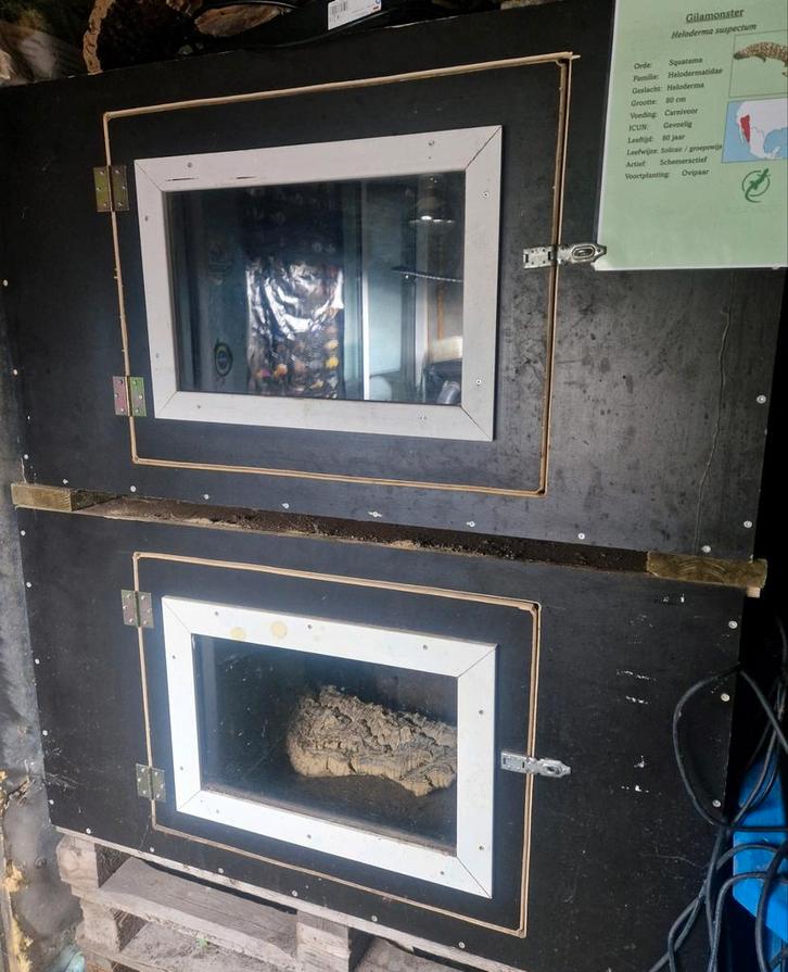 2x betonplex terrarium 120x65x90cm, Dieren en Toebehoren, Reptielen en Amfibieën | Toebehoren, Gebruikt, Terrarium of Paludarium