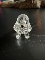 Swarovski Kristallen Hondje, Verzamelen, Swarovski, Ophalen, Zo goed als nieuw, Figuurtje