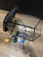 Superfish Start 20 aquarium inclusief decoratie, Dieren en Toebehoren, Vissen | Aquaria en Toebehoren, Ophalen, Zo goed als nieuw