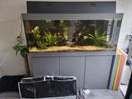 Juwel Rio 450 Grijs, Dieren en Toebehoren, Vissen | Aquaria en Toebehoren, Ophalen of Verzenden, Zo goed als nieuw, Gevuld zoetwateraquarium