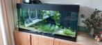 Aquarium Juwel 180 liter, Dieren en Toebehoren, Vissen | Aquaria en Toebehoren, Ophalen, Gebruikt, Leeg aquarium