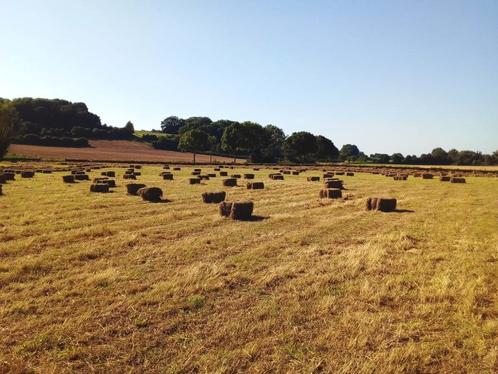 Hooi 2025 balen pakjes gras onbespoten biologisch, Dieren en Toebehoren, Dierenvoeding, Vee, Ophalen