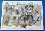 Beleef de Natuur 2020 - Roofvogels en uilen (10) vel NL1, Postzegels en Munten, Postzegels | Nederland, Na 1940, Verzenden, Postfris
