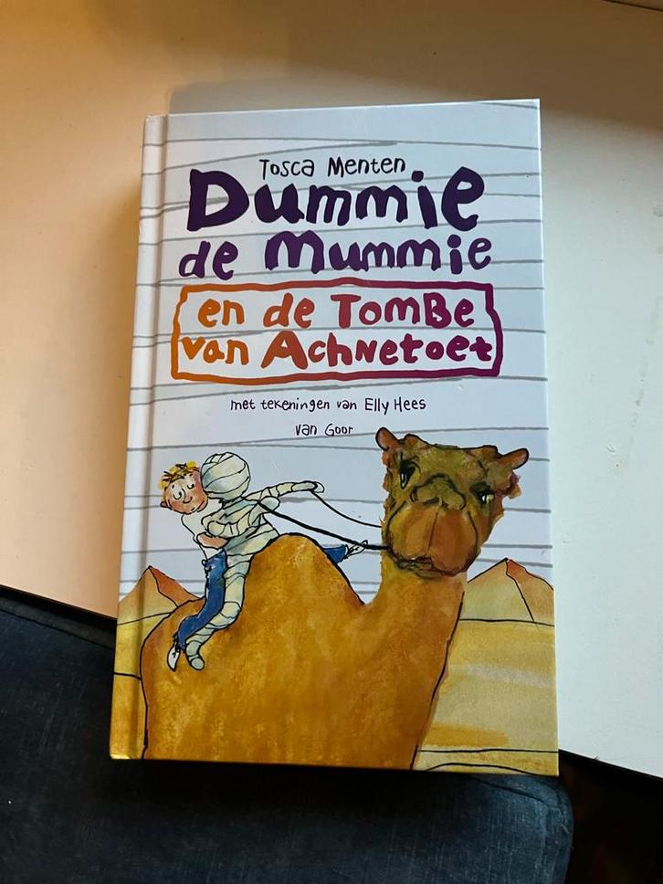 Dummie de Mummie en de Tombe van Achnetoet, Boeken, Kinderboeken | Jeugd | onder 10 jaar, Gelezen, Fictie algemeen, Ophalen of Verzenden