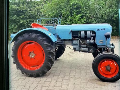 Eicher Panther tractor oldtimer, Dieren en Toebehoren, Paarden, Merrie, Niet van toepassing