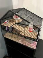 Hamster kooi (zonder toebehoren), Dieren en Toebehoren, Knaagdieren en Konijnen | Hokken en Kooien, Kooi, Minder dan 75 cm, Zo goed als nieuw