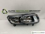 Mistlamp Volkswagen Rechts Polo 6R CHROOM  6R0941062C, Gebruikt, Volkswagen, Ophalen of Verzenden, Volkswagen