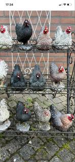 12X decoratie-kippen, Ophalen