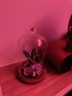 Vlinder in glazen stolp met gedroogde bloemen, Verzenden, Nieuw