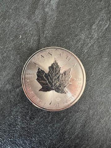 Maple Leaf Elizabeth 2020 - Zilveren munt beschikbaar voor biedingen