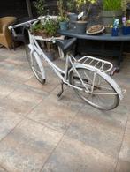 Stevige Pelikaan omafiets, Fietsen en Brommers, Fietsen | Dames | Omafietsen, 53 tot 56 cm, Ophalen, Gebruikt, Overige merken