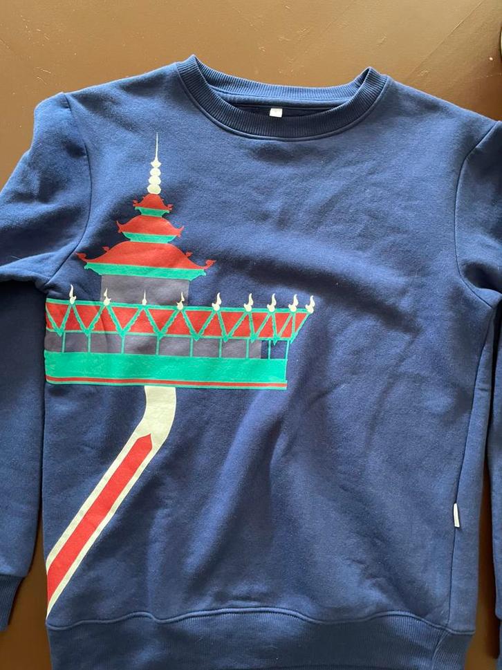 (Nieuw) Efteling Pagode trui maat (S), Kleding | Heren, Truien en Vesten, Nieuw, Maat 46 (S) of kleiner, Paars, Verzenden