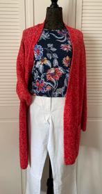 Cecil vest mt XL, Maat 46/48 (XL) of groter, Nieuw, Ophalen of Verzenden, Cecil