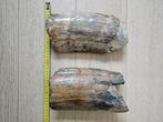 Mammoet slagtand fragmenten, Verzamelen, Mineralen en Fossielen, Verzenden, Fossiel