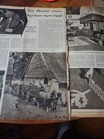 Artikel zandstranden Drenthe Zwaantje Hans 1950, Verzamelen, Tijdschriften, Kranten en Knipsels, Ophalen of Verzenden