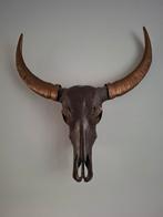Mooie echte buffel schedel, Huis en Inrichting, Ophalen of Verzenden, Zo goed als nieuw