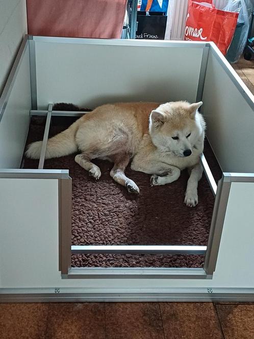 Werpkist grote hond, Dieren en Toebehoren, Honden-accessoires, Ophalen