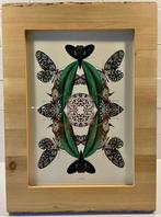 Botanisch kunstwerk, Antiek en Kunst, Ophalen of Verzenden