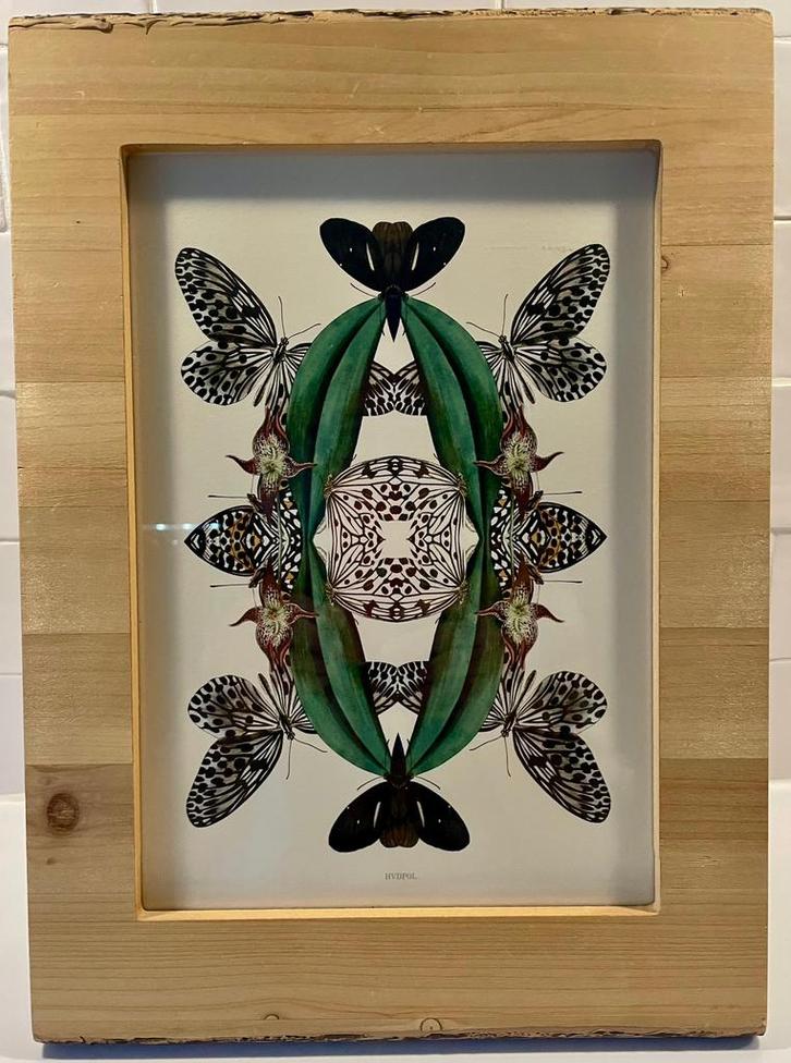 Botanisch kunstwerk, Antiek en Kunst, Kunst | Tekeningen en Foto's, Ophalen of Verzenden