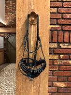 2fithorses trens hoofdstel lak kopstuk type 3 maat full, Dieren en Toebehoren, Paarden en Pony's | Hoofdstellen en Tuigage, Ophalen of Verzenden