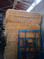 Grote balen gerst stro - 420kg, Zakelijke goederen, Agrarisch | Veevoer, Ophalen of Verzenden