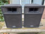 Peavey ST-12 PA passieve speakers/luidsprekers, Audio, Tv en Foto, Luidsprekers, Gebruikt, 120 watt of meer, Front, Rear of Stereo speakers