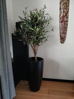 Kunstplant : Olijfboom in binnenpot., Huis en Inrichting, Kamerplanten, Ophalen, 100 tot 150 cm, Overige soorten, In pot
