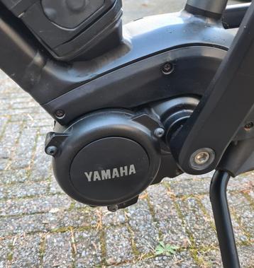 Yamaha motor revisie Batavus Giant Haibike  beschikbaar voor biedingen