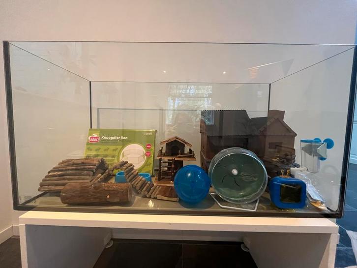 Knaagdier en/of reptielenverblijf, inclusief alle toebehoren, Dieren en Toebehoren, Knaagdieren en Konijnen | Hokken en Kooien