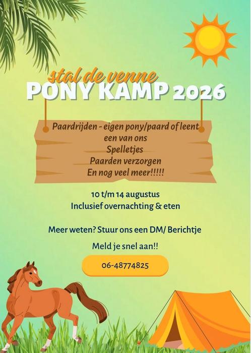 Ponykamp 2026 in deurne!, Dieren en Toebehoren, Stalling en Weidegang, Toebehoren, 4 paarden of pony's of meer