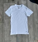 Polo Ralph Lauren T-shirt Slim Fit – Wit met V-hals | Maat M, Wit, Ralph Lauren, Zo goed als nieuw, Verzenden