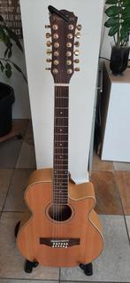 Freshman FA1AM12. 12 string akoestische gitaar, Muziek en Instrumenten, Ophalen, Zo goed als nieuw, Western- of Steelstringgitaar