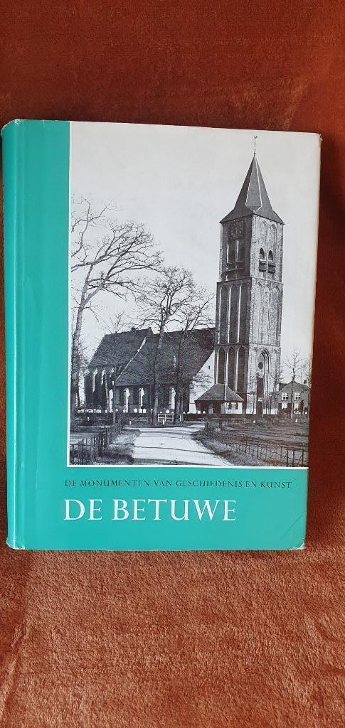 De monumenten van geschiedenis en kunst - de Betuwe, Boeken, Geschiedenis | Stad en Regio, Gelezen, 19e eeuw, Ophalen of Verzenden