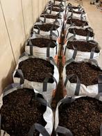 Franse boomschors, halfverharding, bodembedekker, Tuin en Terras, Ophalen, Halfschaduw